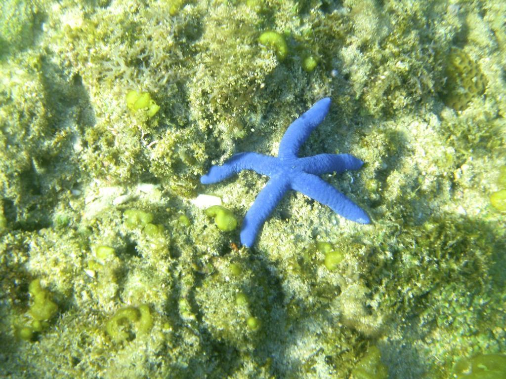 Blue Seastar Cottages Agpudlos Zewnętrze zdjęcie